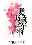 妻乃上将军笔趣阁