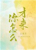 你怎么才来最新章节免费阅读
