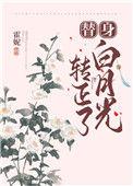 替身白月光转正了 百度