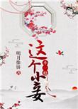 这个小妾不一般的主要内容