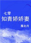 七零知青娇娇妻雁北月