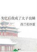 失忆后我成了太子良娣第56章