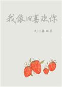 我依旧喜欢你数字表达