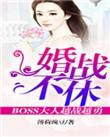 婚战不休全文免费