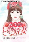 权少的替嫁萌妻无弹窗