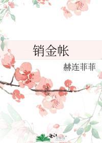 销金帐 古言po