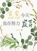 崽崽今天发小甜饼了吗