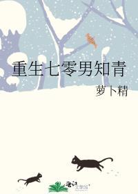 重生七零男知青txt
