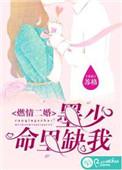 闪婚蜜爱墨少宠妻法则