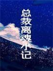总裁离魂小记by