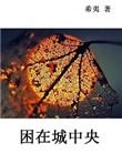 困在城中央txt