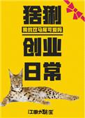 猞猁的创业日常