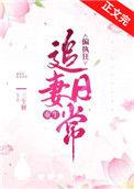 偏执狂追妻日常(重生)gl