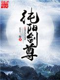 纯阳剑尊境界