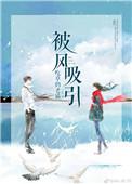被风吸引 讲了什么