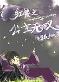 红楼之公主无双晋江