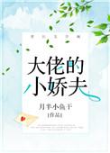 大佬的小娇夫百度