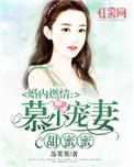 婚燃心动慕少的小妻子