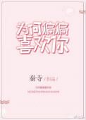 为何偏偏喜欢你歌词大意