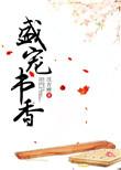 盛宠书香txt