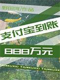 支付宝到账888万元无弹窗