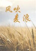 风吹麦浪稻花香黑土地养育着咱爹娘