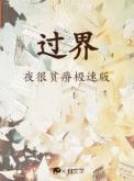 过界电视剧