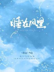 睡在风里的鸟美文和段