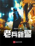 老兵新警从士兵突击到小镇警事吗?