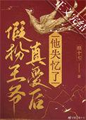 我要这美貌有何用 程十七