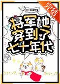 女将军穿越到年代文