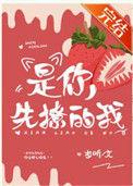 是你先撩的我 醉江仙
