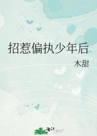 招惹偏执少年后 木甜