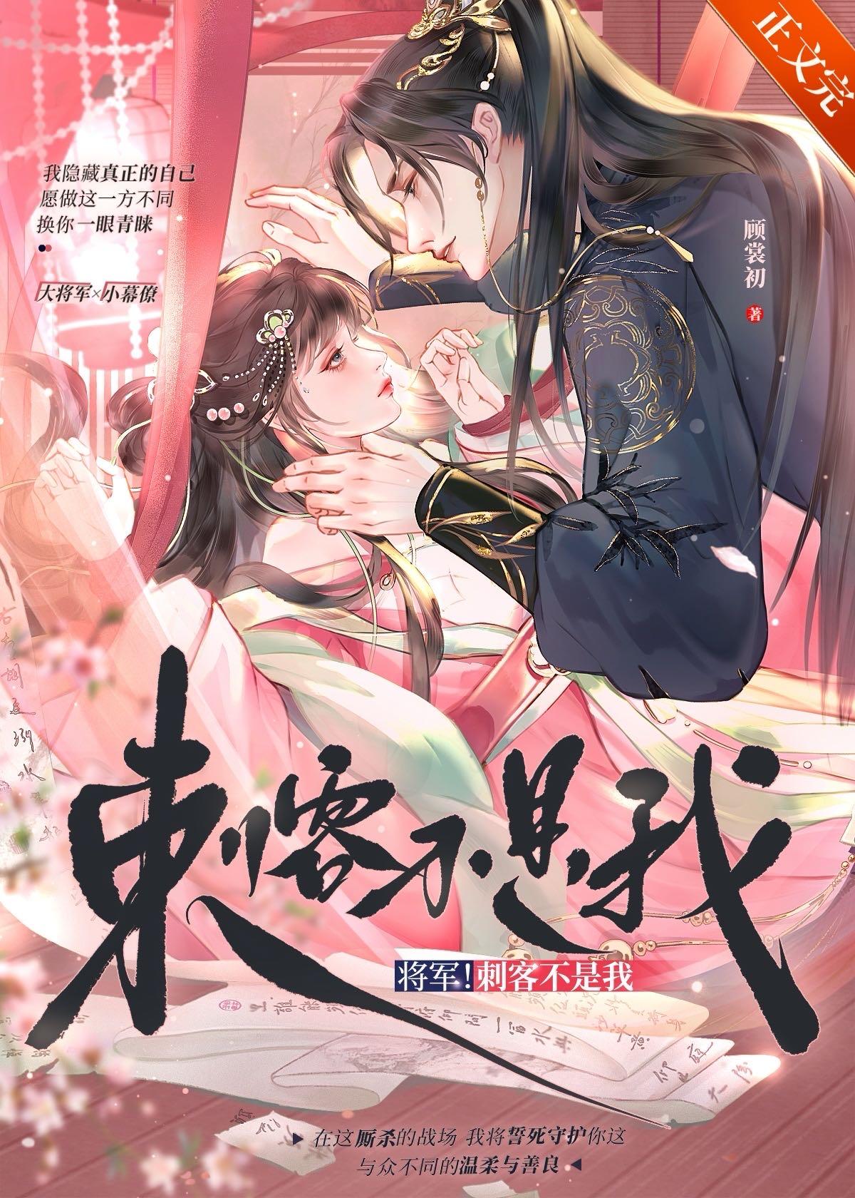 将军刺客不是我免费阅读