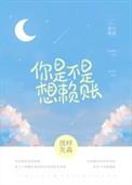 你是不是想赖账 晋江文学