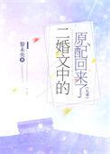 二婚文学