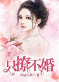 只撩不婚叔