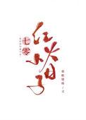 七零红火小日子评价