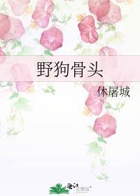 野狗骨头在线阅读