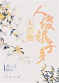 夫君他人傻银子多 作者莫二月