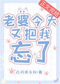 老婆今天又把我忘了全文免费阅读