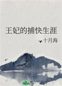 王妃的捕快生涯讲什么
