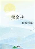 照金巷 且醉风华好看吗