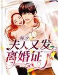 韩少离婚请签字