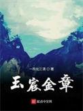 玉宸金章评价