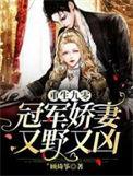 重生九零冠军娇妻又野又凶笔趣阁