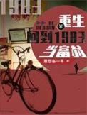 重生回到1983当富翁250章