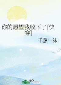 你的愿望就是我的期望