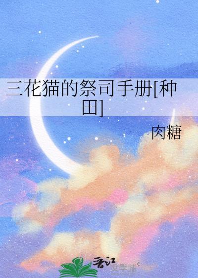 二周目游戏什么意思