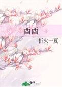 酉酉时是几点